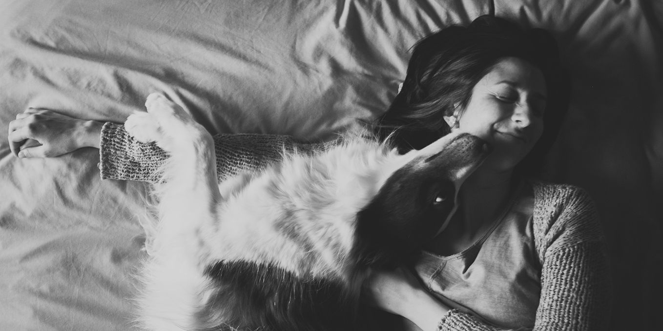 vivir con perro border collie (1)