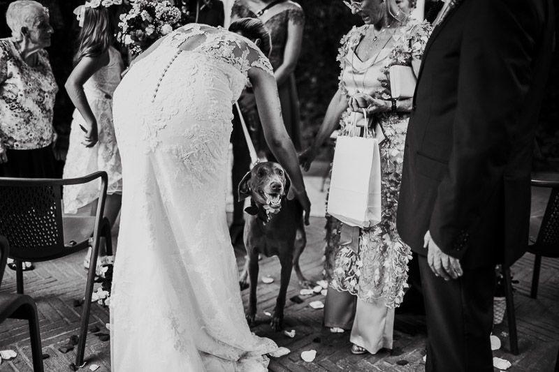 La boda de Patri y Joan